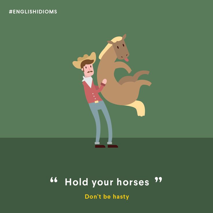 hold your horses english expression